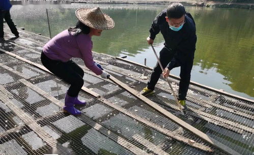 爐下鎮“以拆促整”規范養殖 打好小流域水環境治理攻堅戰