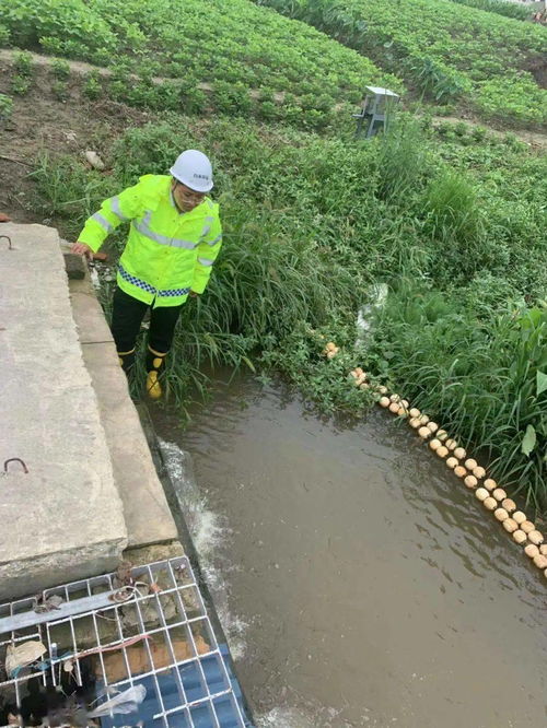 環(huán)境守護者丨保護碧水藍天 共建美好家園