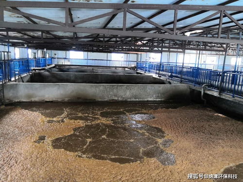 污水生化系統(tǒng)環(huán)保管家，綿津環(huán)保為企業(yè)保駕護(hù)航